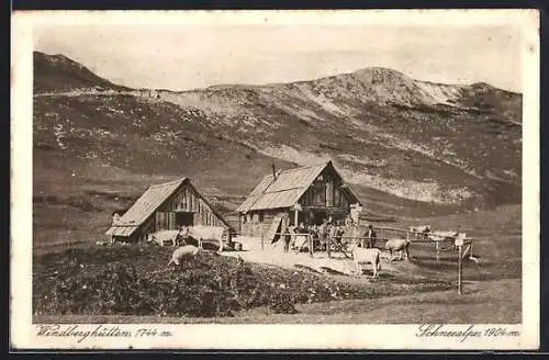 AK Windberghütten, Berghütten mit Kühen und Schneealpe