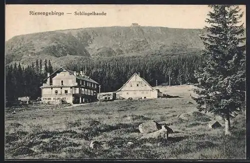 AK Schlingelbaude /Riesengebirge, Berghütte mit Umgebung