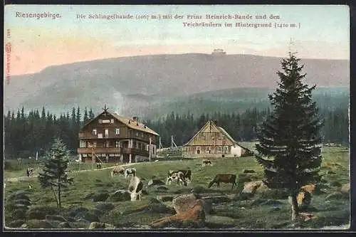 AK Schlingelbaude mit der Prinz Heinrich-Baude und den Teichrändern im Hintergrund
