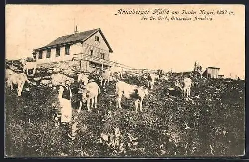 AK Annaberger Hütte am Tiroler Kogel, Hütte des Oe. G.-V., Ortsgruppe Annaberg
