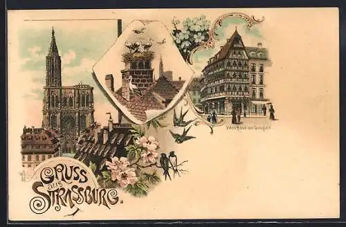 Lithographie Strassburg, Haus am Domplatz, Storche im Nest