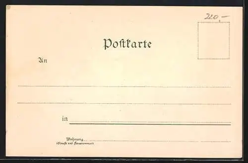 Lithographie Strassburg, Haus am Domplatz, Storche im Nest