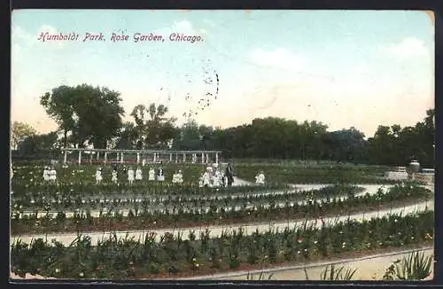 AK Chicago, IL, Humboldt Park, Rose Garden