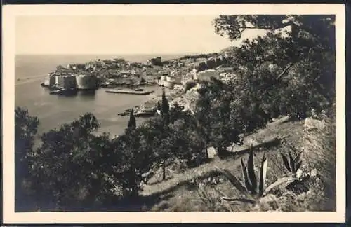 AK Ragusa, Panorama mit Bäumen