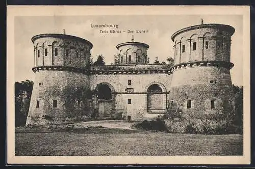 AK Luxembourg, Drei Eicheln