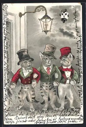 AK Drei Kater im Frack, vermenschlichte Tiere