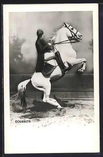 AK Courbette, Reiter auf seinem Pferd