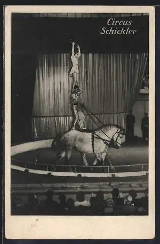 AK Voltigieren im Zirkus Schickler
