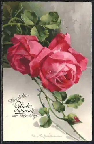 Künstler-AK Catharina Klein: eine Rosenpflanze mit zwei Blüten