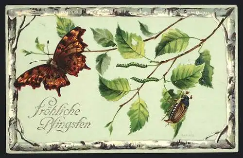 AK Maikäfer klettert auf einem Blatt herum, Schmetterling