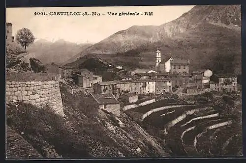 AK Castillon /A.-M., Vue générale