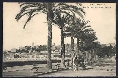 AK Cannes, Boulevard de la Croisette mit Palmen und Blick auf die Stadt