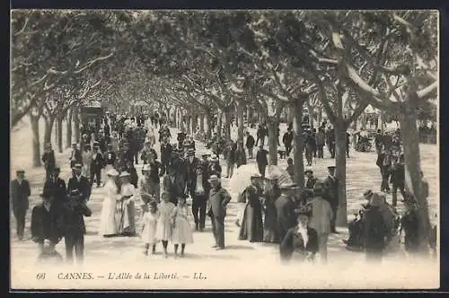 AK Cannes, L`Allée de la Liberté, promenade animée sous les arbres