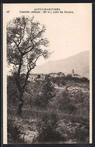 AK Castellar /Alpes-Maritimes, entre les Oliviers