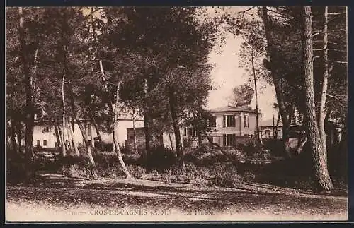AK Cros-de-Cagnes /A.-M., maisons entourées d`arbres