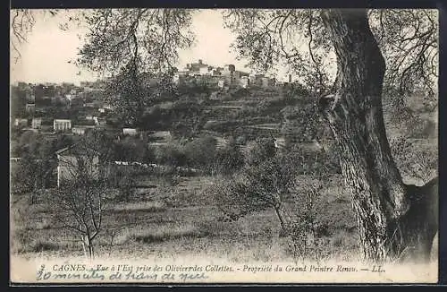 AK Cagnes, Vue de l`Est prise des Oliviers des Collettes, Propriété du Grand Peintre Renoir