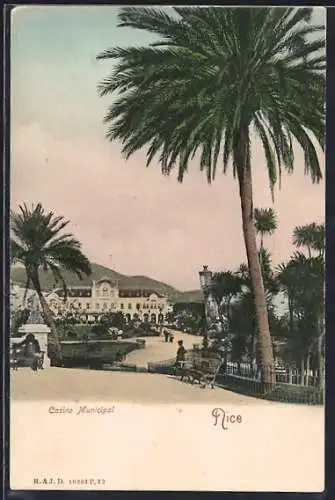 AK Nice, Casino Municipal et palmiers majestueux