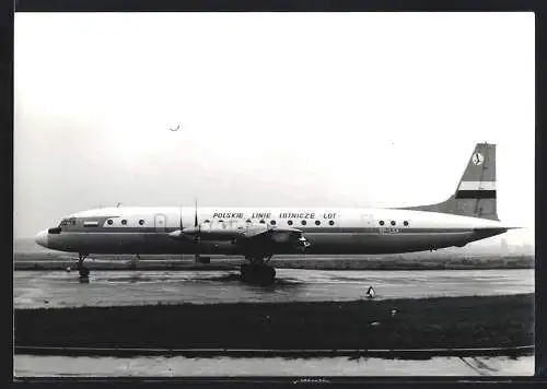 Fotografie Flugzeug Iljuschin Il-18, Polskie Linie Lotnicze, Kennung SP-LSA