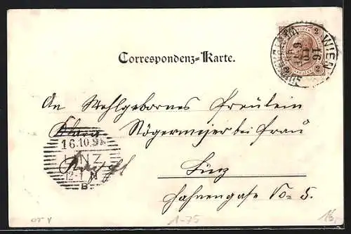 AK Kaiser Franz Josef I. von Österreich auf der Jagd