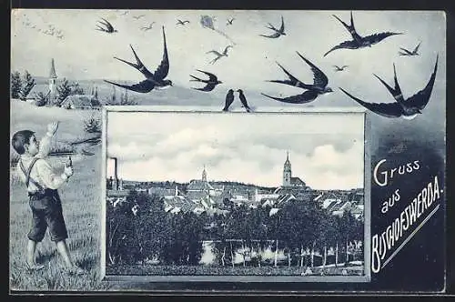 AK Bischofswerda, Stadtansicht, Kind spielt mit Drachen und Vögeln