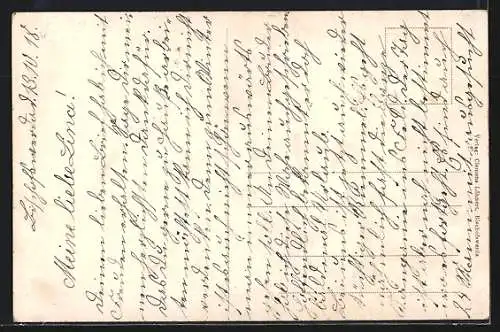 AK Bischofswerda, Stadtansicht, Kind spielt mit Drachen und Vögeln