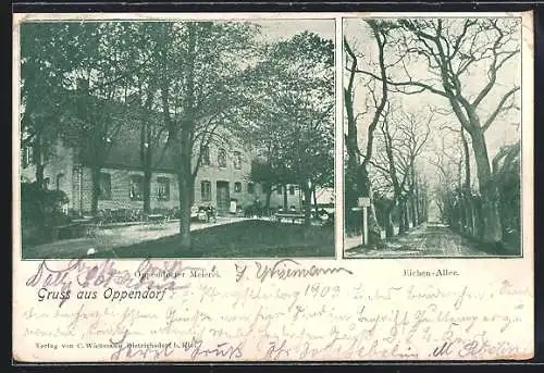 AK Oppendorf / Schönkirchen, Gasthaus Oppendorfer Meierei, Eichen-Allee