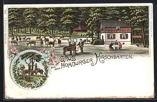 Lithographie Homburg / Saalburg, Homburger Hirschgarten mit Hochwild