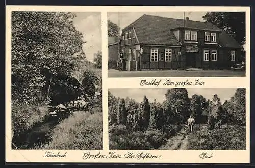 AK Dedelstorf, Gasthof zum Grossen Kain, Heide, Kainbach
