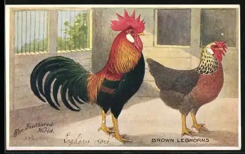 Künstler-AK Hahn und Henne der Rasse Brown Leghorns