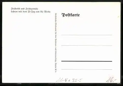 Künstler-AK Frühobst und Frühgemüse fahren mit dem D-Zug um die Wette