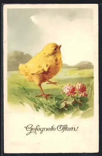 Künstler-AK Osterküken mit Kleeblättern und -blüten, Gesegnete Ostern