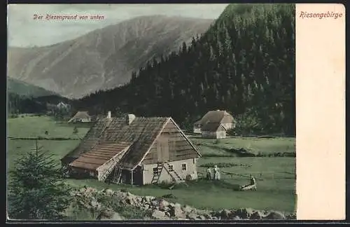 AK Riesengrund /Riesengebirge, Berglandschaft mit Höfen