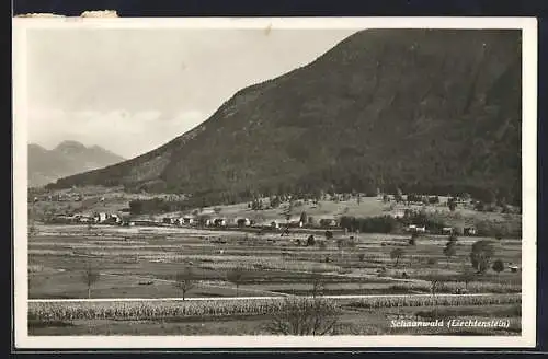 AK Schaanwald, Blick über Felder mit Bergpanorama