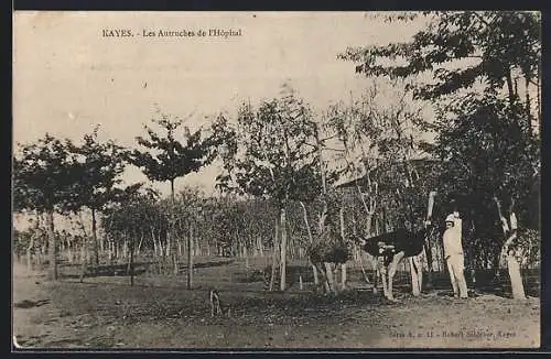 AK Kayes, Les Autruches de l`Hôspital