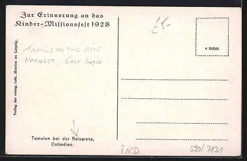 AK Ostindien, Tamulen bei der Reisernte
