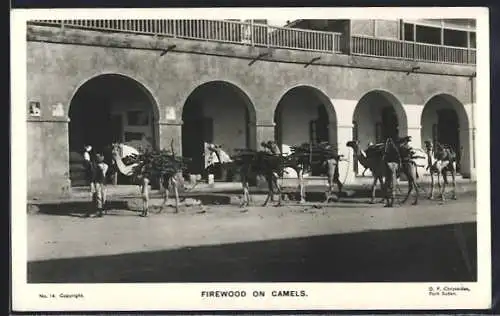 AK Port Sudan, Firewood on Camels