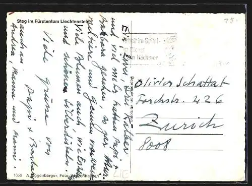 AK Steg, Kirche mit Kälbern und Bergblick