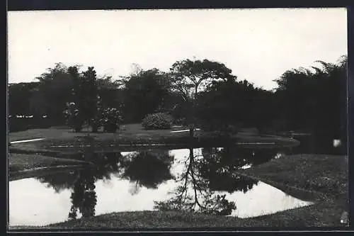 AK Taiping, The Lake Gardens