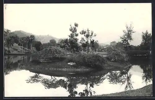 AK Taiping, In the Lake Gardens
