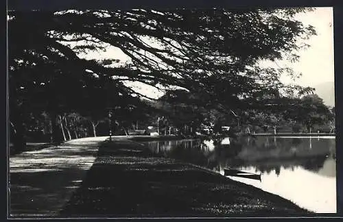 AK Taiping, The Lake Gardens, Promenade