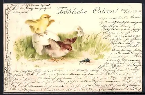 AK Fröhliche Ostern, Osterküken und ein Käfer