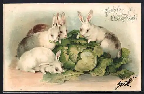 AK Osterhasen fressen einen Kohlkopf, Frohes Osterfest