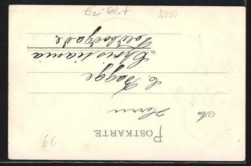 Passepartout-Lithographie Hamburg-Neustadt, Stadtwappen mit Jungfernstieg