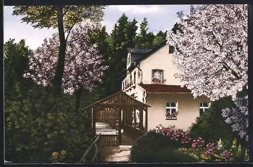 AK Muggendorf /Fränk. Schweiz, Cafe-Restaurant Rosenau mit Veranda im Frühling