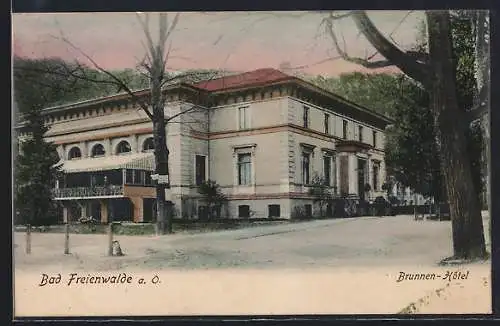 AK Bad Freienwalde a. O., Brunnen-Hôtel mit Auffahrt