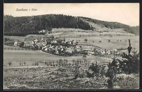 AK Saalborn i. Thür., Ortspartie mit Feldern