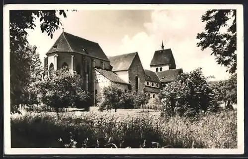 AK Reichenau /Mittelzell, Ortsansicht von Gartenanlage