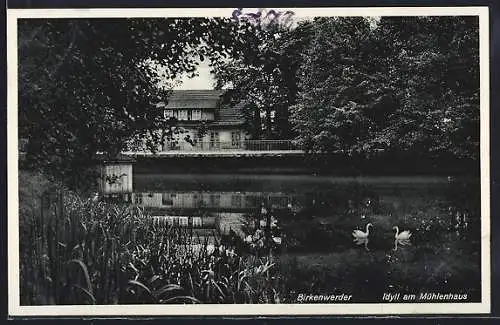 AK Birkenwerder, Idyll am Mühlenhaus