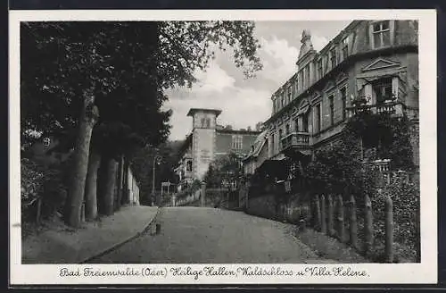 AK Bad Freienwalde /Oder, Heilige Hallen, Waldschloss und Villa Helene