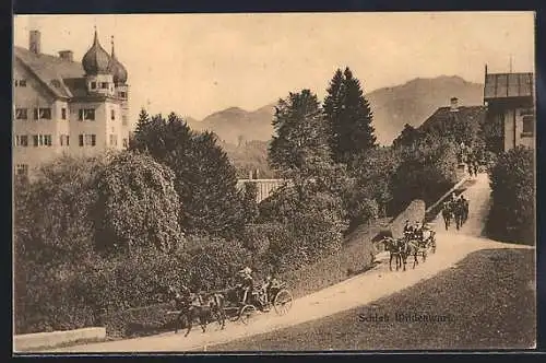 AK Wildenwart, Schloss mit Strassenpartie, Pferdekutschen